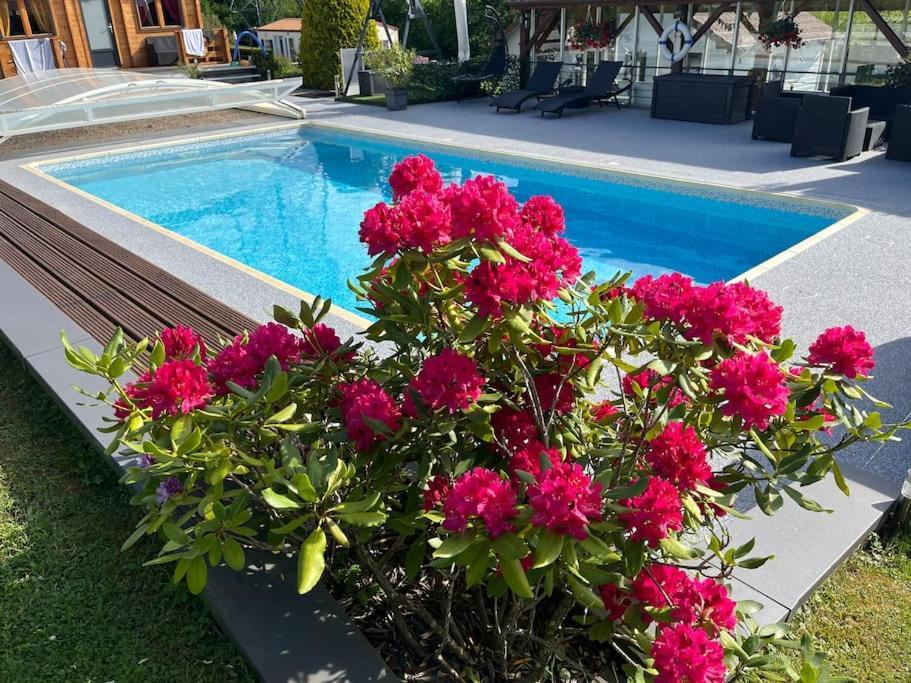 Chalet 2 Personnes Avec Jacuzzi Et Piscine Saisonniere Partagee Corcieux Bagian luar foto